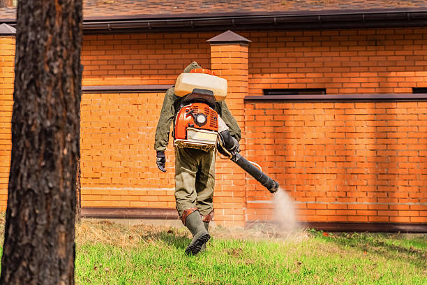 Trusted Cockroach Control service in Batesburg-Leesville, SC - Nex Pest Control